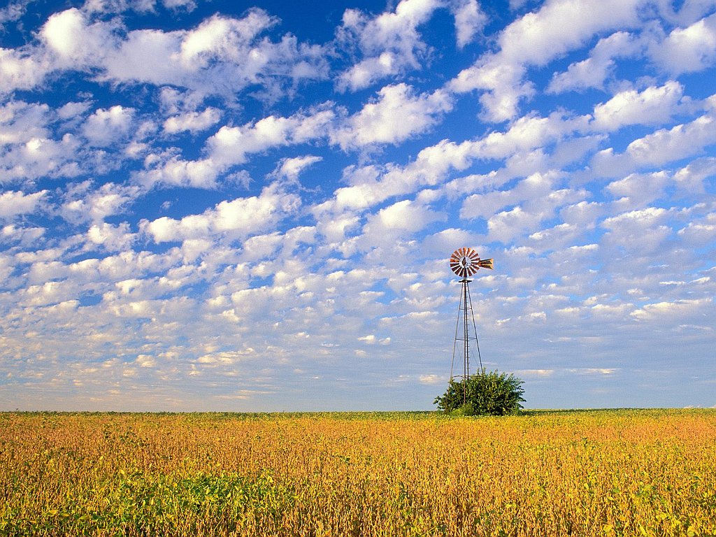 Country Field, Illinois